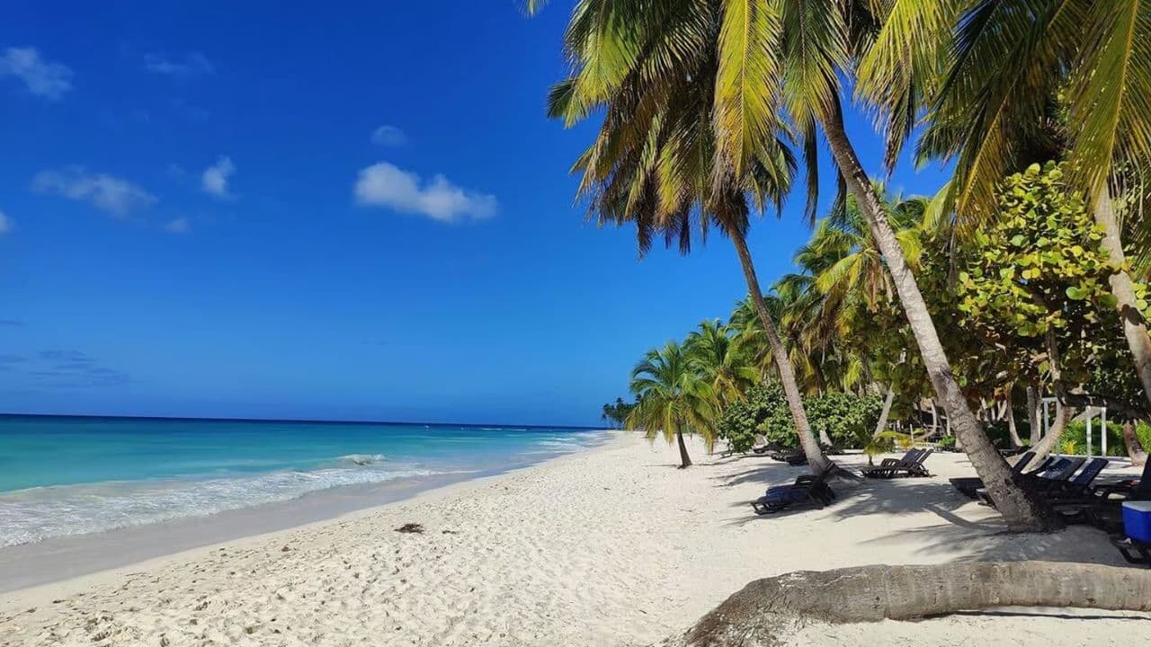 Saona-Inseltour mit Mittagessen ab Santo Domingo — Guided tour and outdoor activity