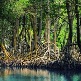 Los Haitises + Montaña Redonda + Cano Hondo-Wasserfälle — Guided tour and outdoor activity