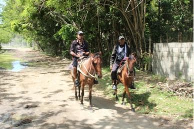 Reiten am Strand mitten in der Natur — Guided tour and outdoor activity