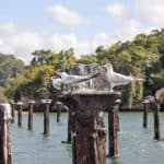 Haitises + Cayo Levantado (ostrov Bacardi) — Guided tour and outdoor activity