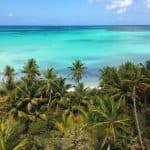 Tagesausflug mit privatem Boot zur Insel Saona mit Schnorcheln und Mittagessen — Guided tour and outdoor activity