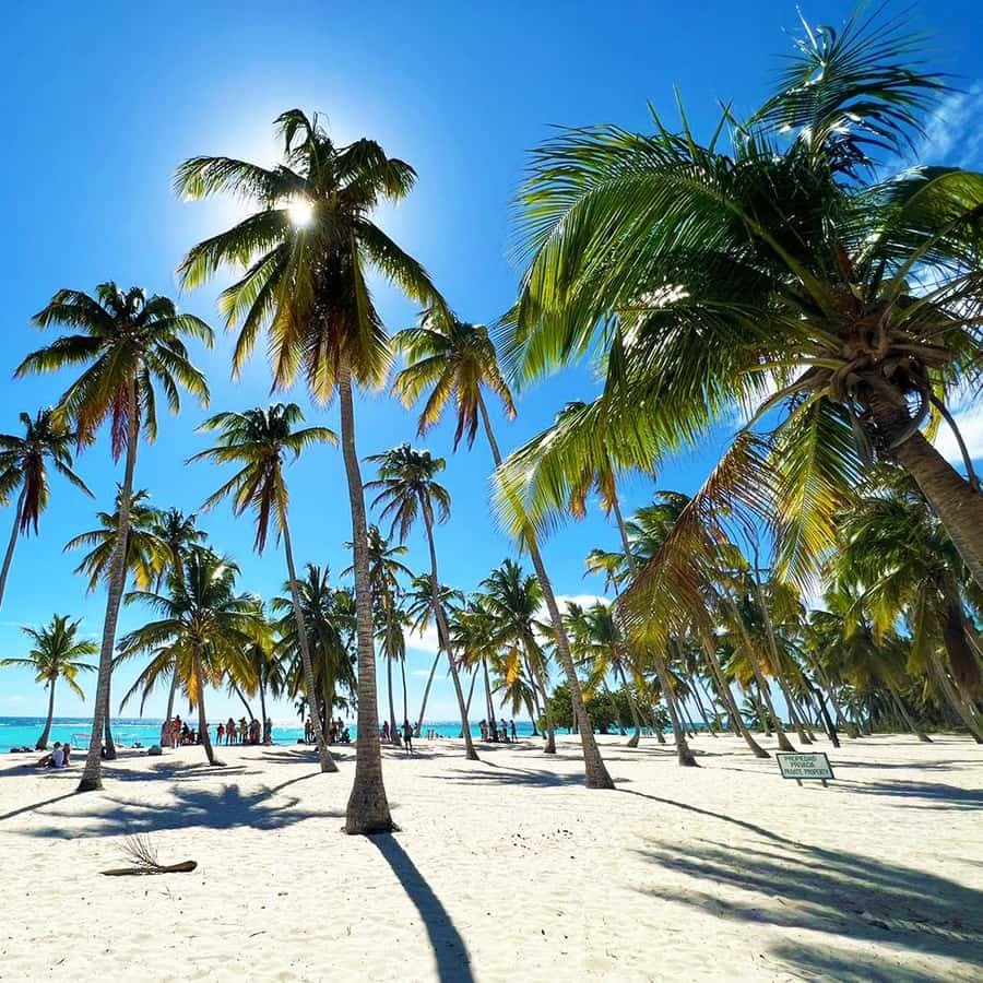 Punta Cana: Saona Island Premium 3 Strände — Guided tour and outdoor activity