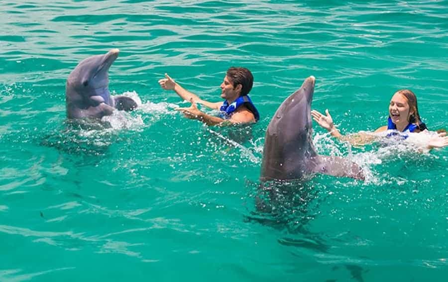 Punta Cana Dolphin Adventure: 40-Minute Interaction — Guided tour and outdoor activity