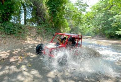 Land der Affen plus ATV-Buggy-Abenteuer in Puerto Plata — Guided tour and outdoor activity