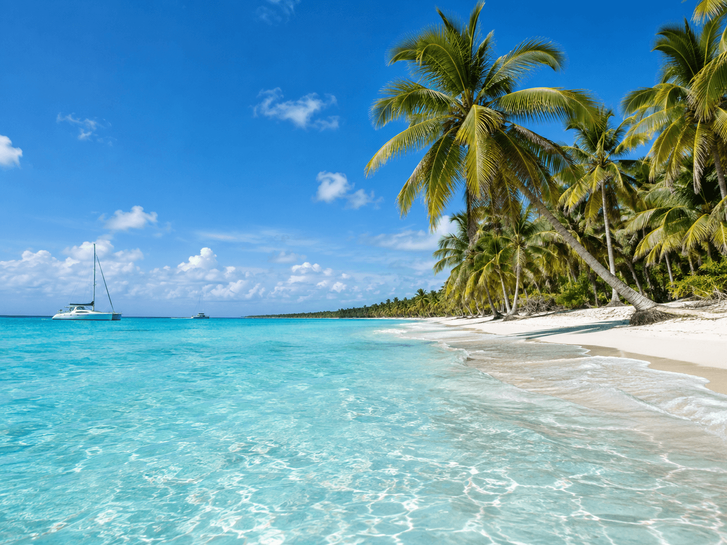 Samaná Cayo Levantado & El Limón Waterfall Self-Drive Tour — Guided tour and outdoor activity