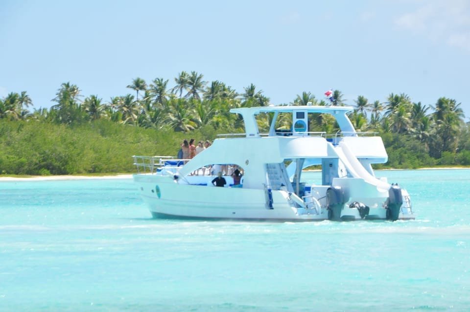 Samana: Half Day Whale Watching Humpback Whale Watching - Image 3