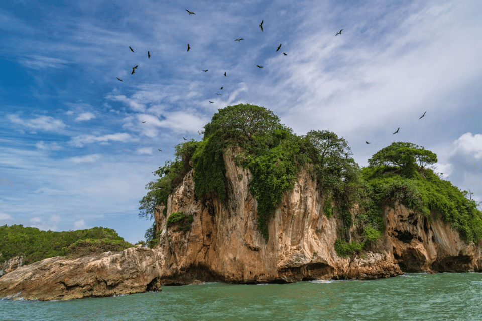 Los Haitises Boat Ride + Caño Hondo Natural Pools - Image 2