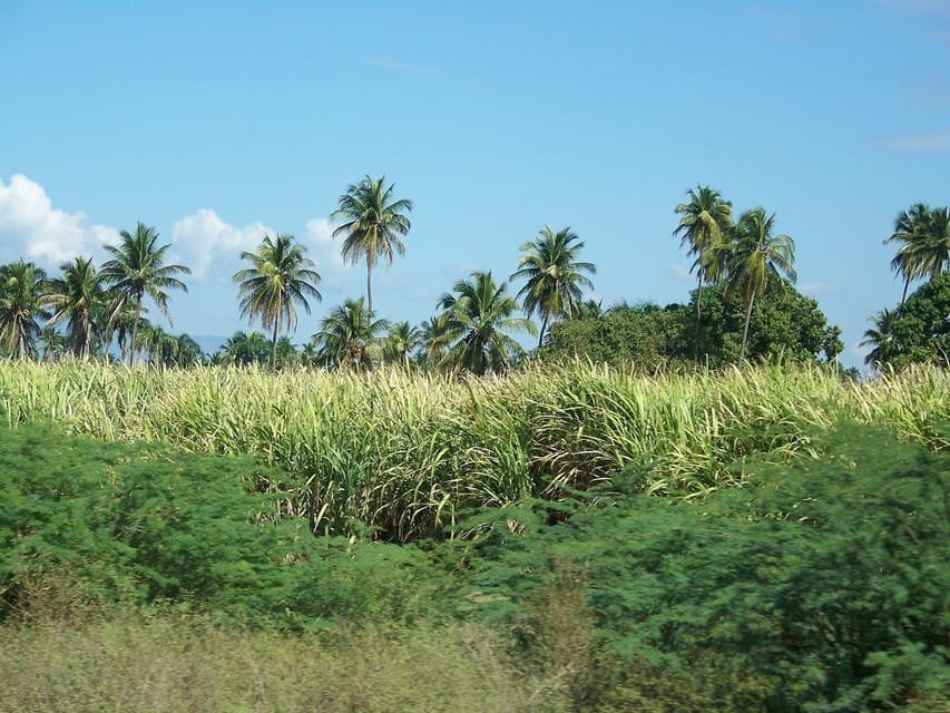 4 Wheel Adventure - Image 2