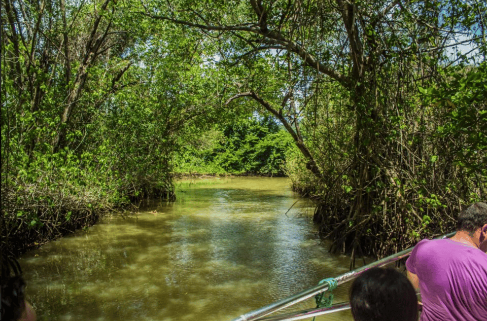 Los Haitises Boat Ride + Caño Hondo Natural Pools - Image 4