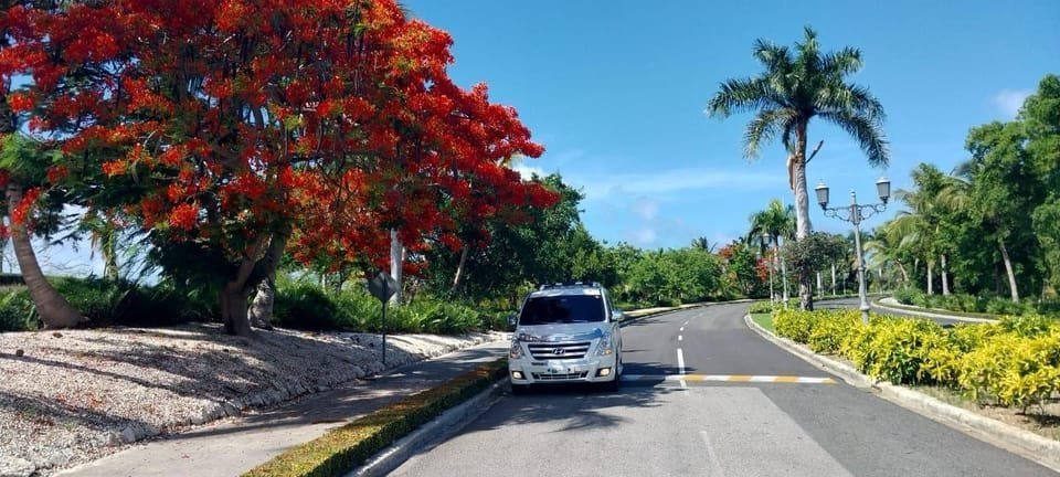 Private Transfer Punta Cana airport to Iberostar Dominicana - Image 2