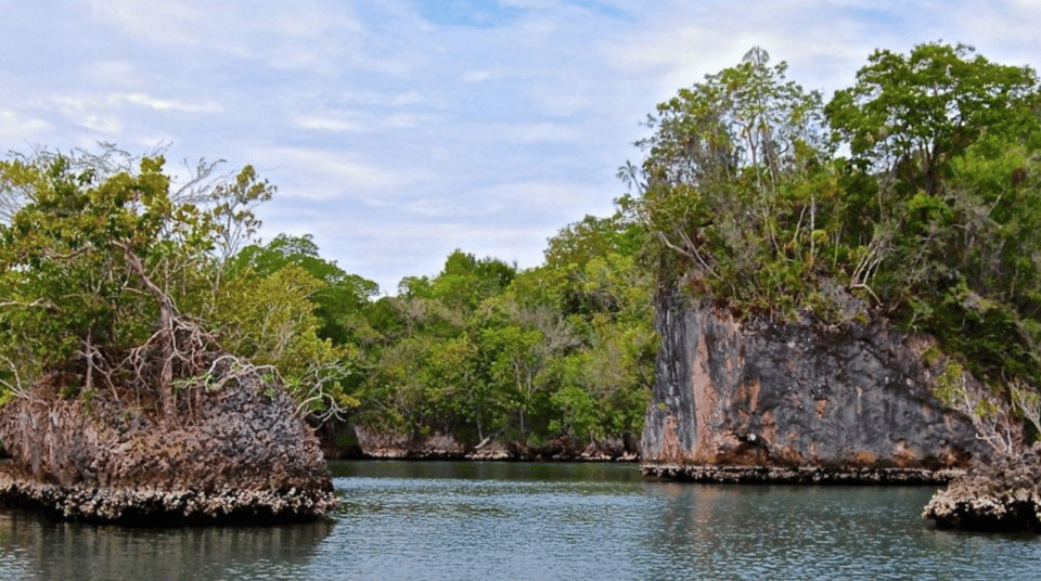 Los Haitises Boat Ride + Caño Hondo Natural Pools - Image 5