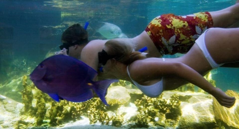 Day trip at Ocean World for Dominican Residents - Image 2