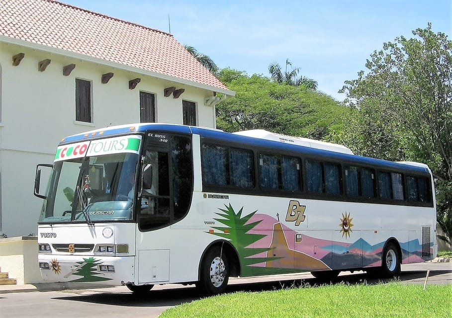 La Romana: 1-Way Private Transfer - Image 2