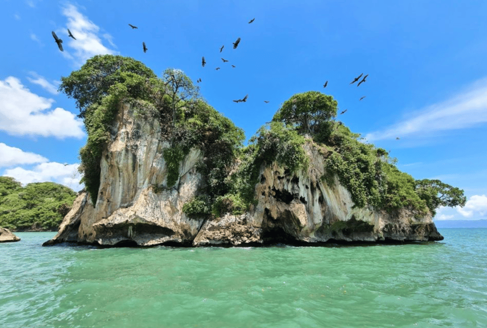 Los Haitises Boat Ride + Caño Hondo Natural Pools - Image 8
