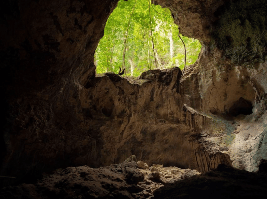 Los Haitises Boat Ride + Caño Hondo Natural Pools - Image 9