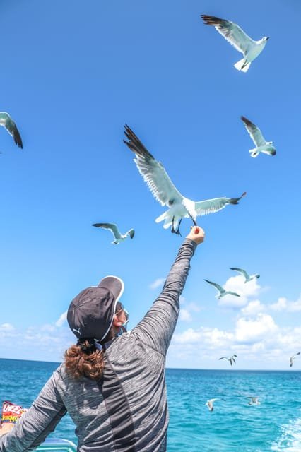 Santo Domingo: Saona Island full-day tour all-inclusive - Image 10