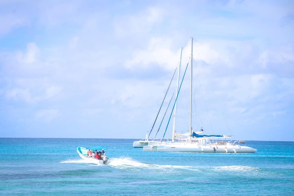 Santo Domingo: Saona Island full-day tour all-inclusive - Image 11
