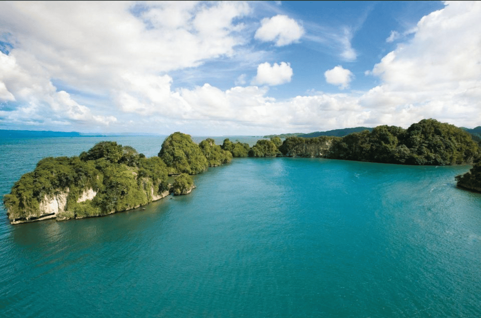 Los Haitises Boat Ride + Caño Hondo Natural Pools - Image 11