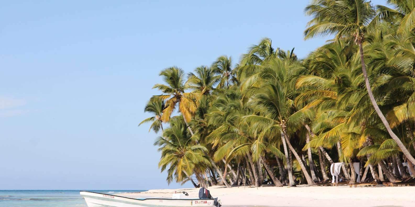 Punta Cana: Saona Island and Altos de Chavón Day Trip - Image 3