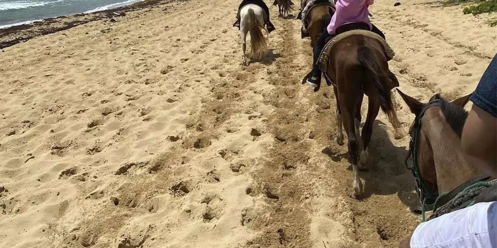 ATV And Horseback With Blue Cave :Punta Cana - Image 5