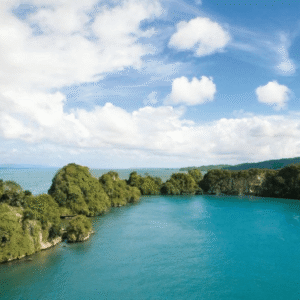 Boca Chica : Los Haitises Guided Hike and Kayaking
