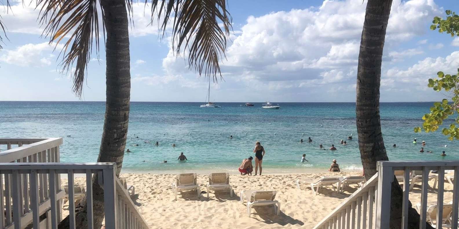 From Punta Cana: Small Group Catalina Island Snorkeling Tour - Image 8