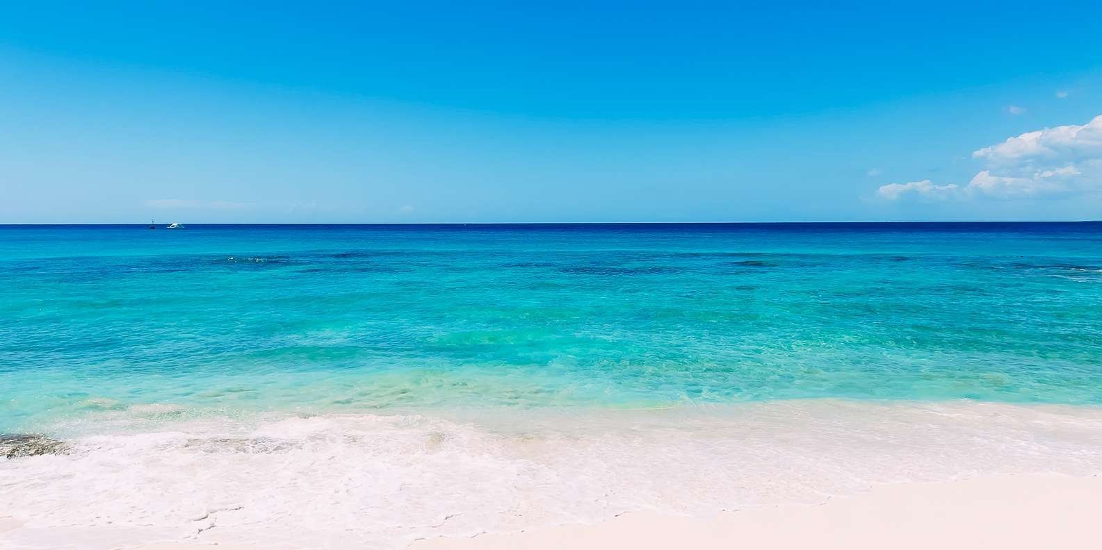 Punta Cana: Full Day Boat Trip to Catalina Island with Lunch - Image 9