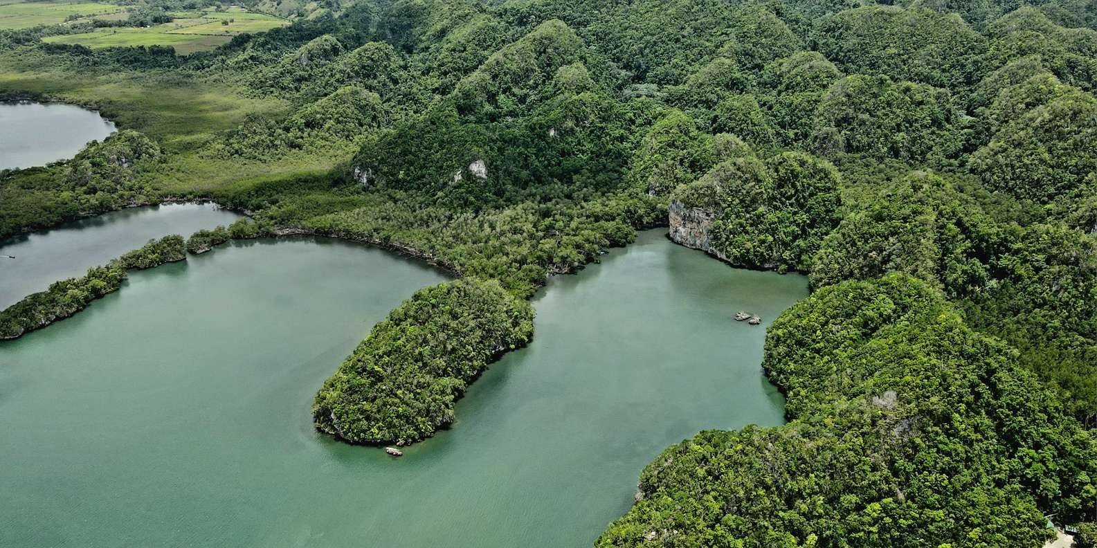 Los Haitises: Boat Tour, Cave Walk & Dominican Lunch - Image 10