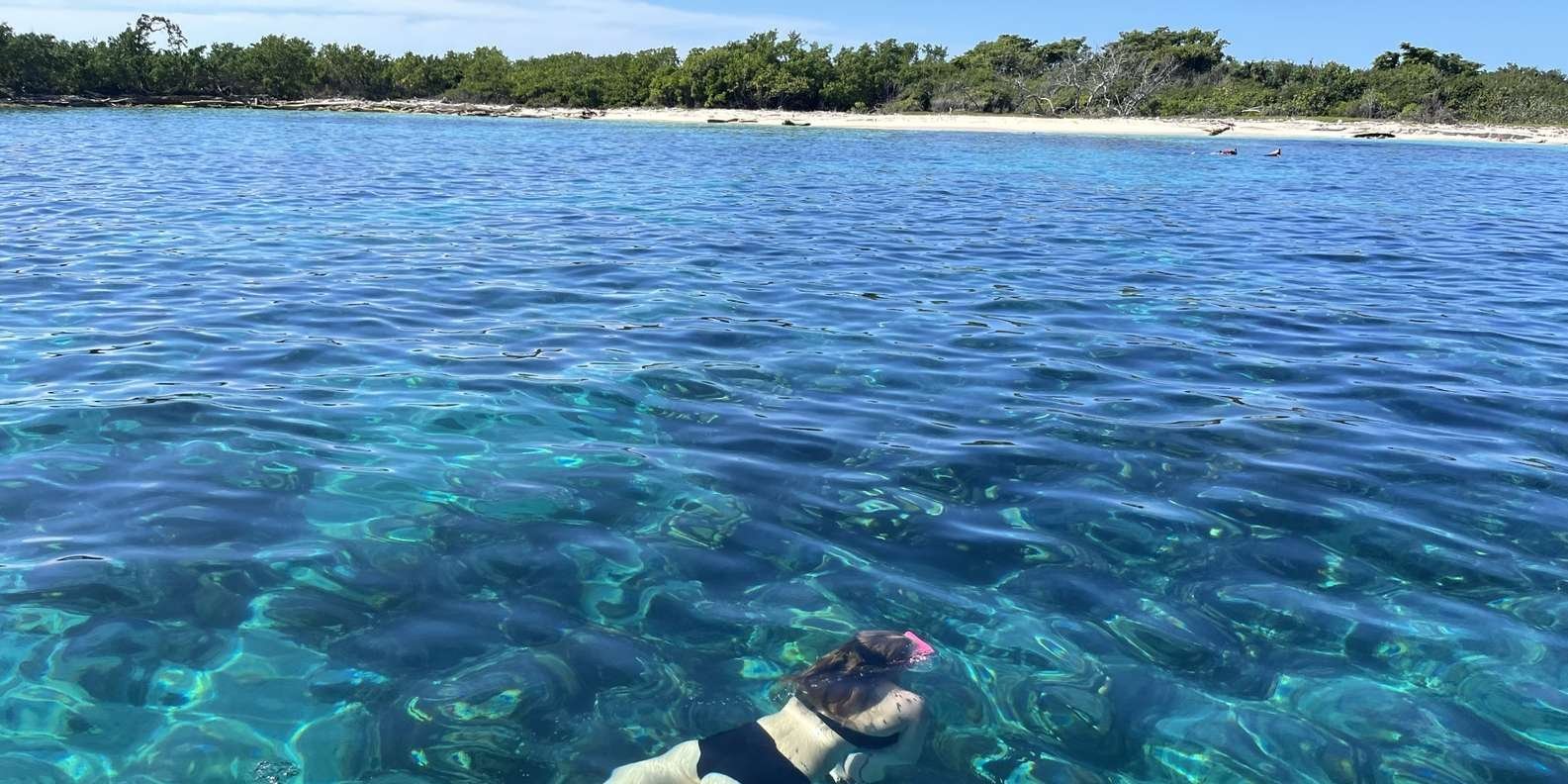 From Punta Cana: Small Group Catalina Island Snorkeling Tour - Image 10